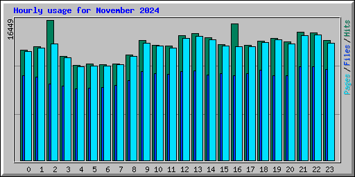 Hourly usage for November 2024